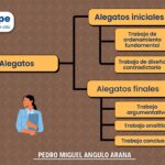 los alegatos