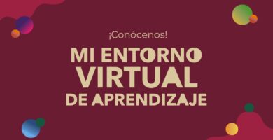 mi eva