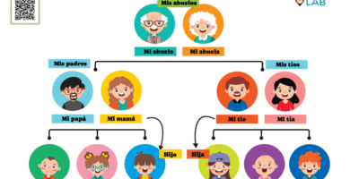 miembros familia