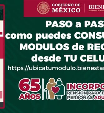 modulos bienestar