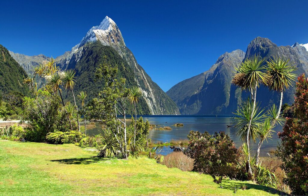 nueva zelanda 1