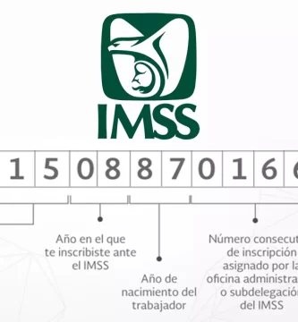 numero imss