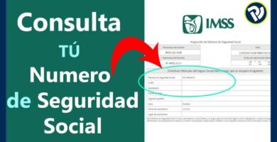 obtener nss