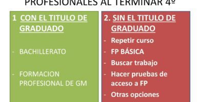 opciones academicas