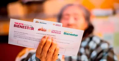 pension bienestar 2