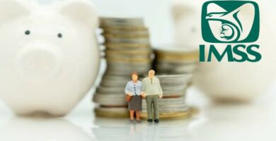 pension imss 1