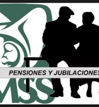 pension imss