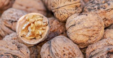 produccion nueces