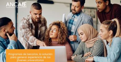 programa becarios
