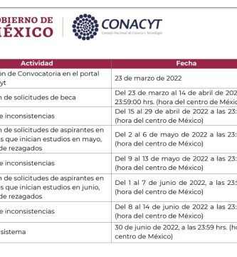 que es la beca conacyt