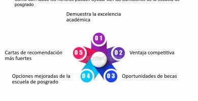 que es un programa de excelencia academica