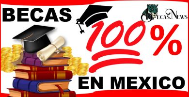 que es una beca del 100
