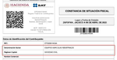 regimen fiscal 3