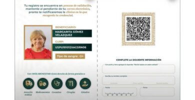 registro imss