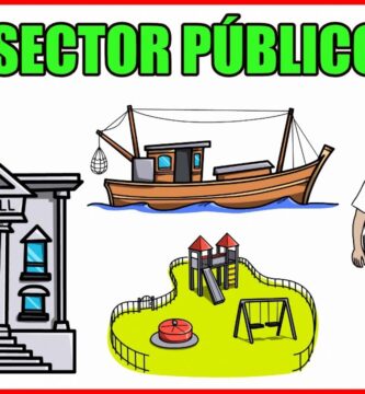 sector publico