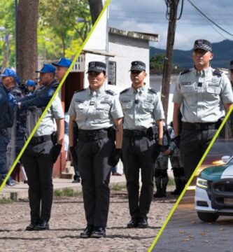 seguridad publica