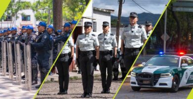seguridad publica