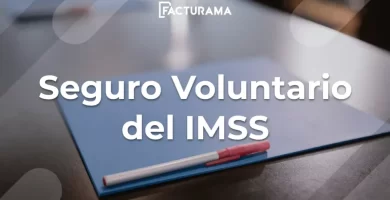 seguro voluntario