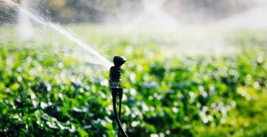 sistemas riego