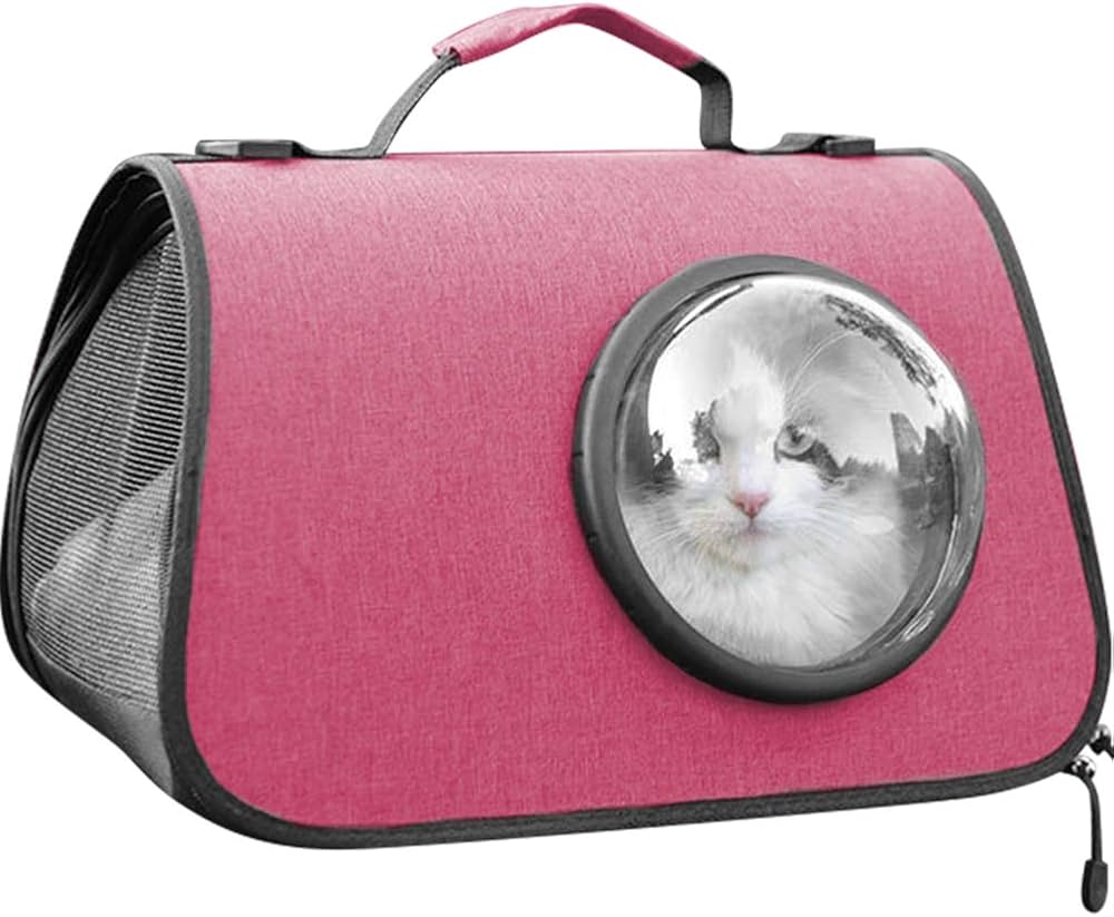 transportadora gatos