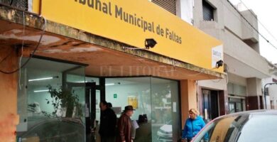 tribunal faltas