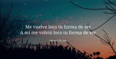 tu forma