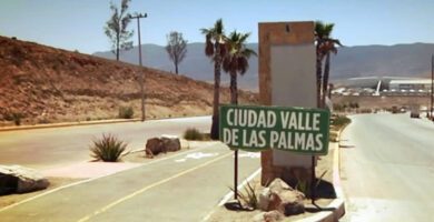 valle palmas