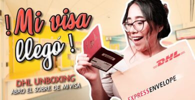 visa dhl 1