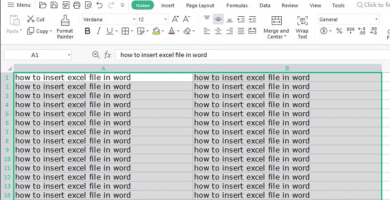 word excel